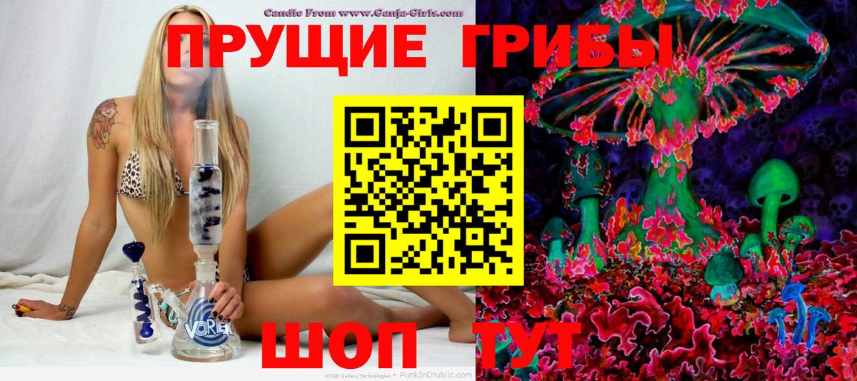 Галлюциногенные грибы Cubensis Наро-Фоминск